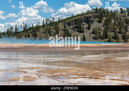 Parc national de Yellowstone, Montana, États-Unis - juillet 15 2018: Vieux fidèles et la zone environnante de boue, pots de vapeur, geysers, eau bouillante, chaud. Banque D'Images