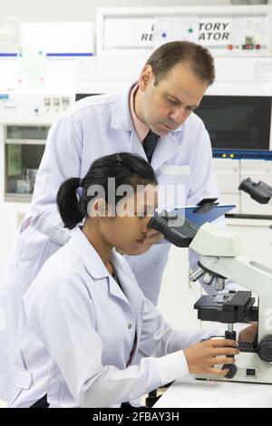 Un personnel travaillant dans un laboratoire avec un microscope Banque D'Images