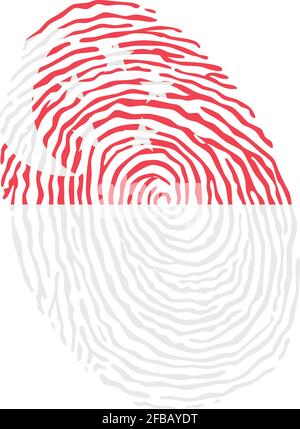 Vecteur d'empreinte digitale coloré avec le drapeau national de Singapour Illustration de Vecteur