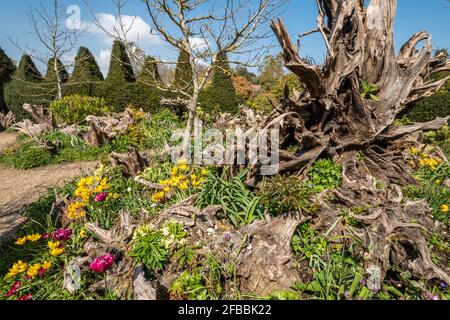 Jardin Stumpery dans le domaine du château d'Arundel, West Sussex, Angleterre, Royaume-Uni Banque D'Images