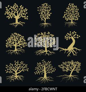 Silhouettes d'arbres vectoriels avec feuilles et racines isolées sur fond noir. Illustration d'arbres de forme naturelle Illustration de Vecteur