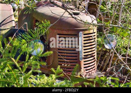 Tracteur David Brown Banque D'Images