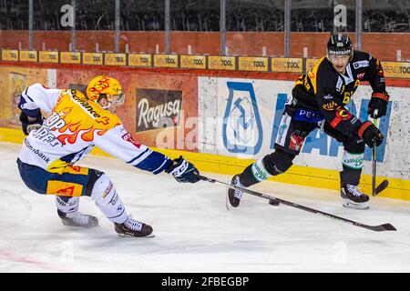 # 65 Ramon Untersander (Berne) a dépassé le buteur de PostFinance Gregory Hofmann # 15 (EV Zug) lors du match de hockey sur glace quart-finale de la Ligue nationale 6 entre SC Berne et EV Zug le 23 avril 2021 dans la PostFinance-Arena de Berne. (Suisse/Croatie SORTIE) crédit: SPP Sport presse photo. /Alamy Live News Banque D'Images