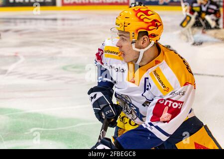 PostFinance meilleur buteur Gregory Hofmann # 15 (EV Zug) lors du match de hockey sur glace quart-finale de la Ligue nationale 6 entre SC Berne et EV Zug le 23 avril 2021 dans la PostFinance-Arena de Berne. (Suisse/Croatie SORTIE) crédit: SPP Sport presse photo. /Alamy Live News Banque D'Images