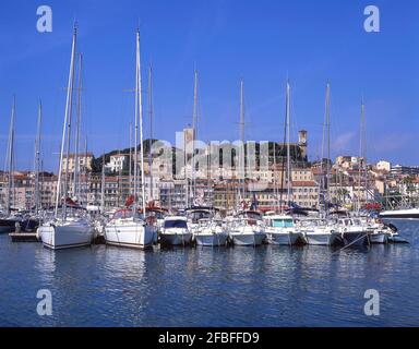 Bateaux de pêche traditionnelle dans le Vieux Port, Cannes, Côte d'Azur, Alpes-Maritimes, Provence-Alpes-Côte d'Azur, France Banque D'Images