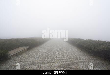 Revêtement de la route en pierre avec du brouillard devant, à la verticale Banque D'Images