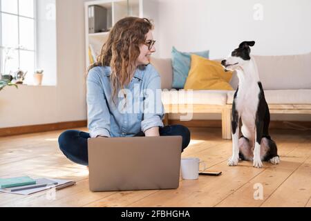 Jeune femme entrepreneure souriante avec un ordinateur portable qui regarde le chien pendant asseyez-vous sur le sol Banque D'Images