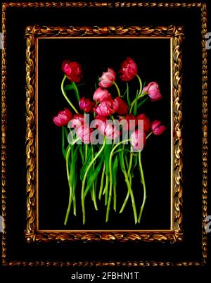 Peinture de tulipes roses en fleur Banque D'Images