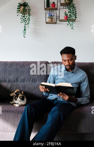 Beau homme lisant le livre tout en étant assis par le chat dans la vie chambre Banque D'Images