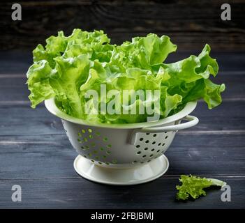 feuilles de laitue verte fraîche en passoire blanche sur bois sombre table de cuisine Banque D'Images