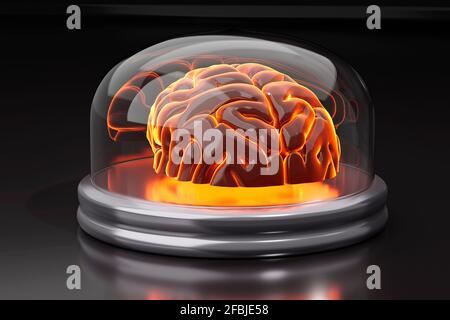 Illustration 3D du cerveau en bocal Banque D'Images