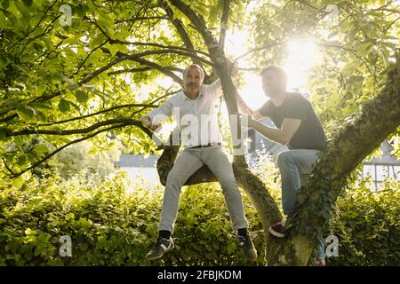 Homme jour rêver en s'asseyant par le fils souriant sur l'arbre branche dans la cour arrière pendant la journée ensoleillée Banque D'Images