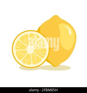 Citron entier dessiné à la main et tranche, joli vecteur jaune illustartion riche de fruits de vitamine C. Illustration de Vecteur