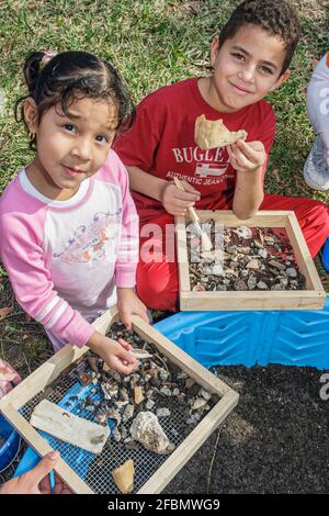 Miami Florida, Homestead Biscayne National Park, hispanique garçon fille frères et sœurs archéologie exposition d'artefacts d'écran de tamisage, Banque D'Images