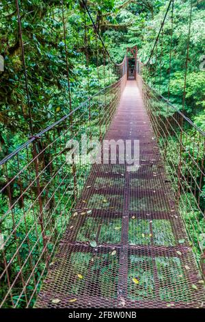 Pont suspendu dans la forêt nuageuse de Reserva Biologica Bosque Nuboso Monteverde, Costa Rica Banque D'Images