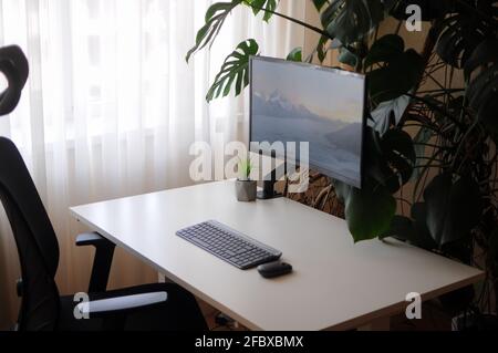 Bureau moderne avec écran incurvé et chaise orthopédique. Intérieur avec plantes Banque D'Images