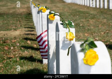 Petit drapeau américain entre les pierres tombales avec des roses jaunes sur le dessus; cimetière national d'Arlington Banque D'Images