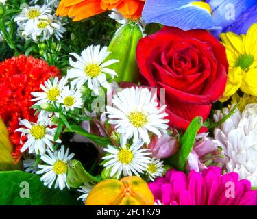 Bouquet coloré de fleurs mélangées en gros plan. Australie. Banque D'Images