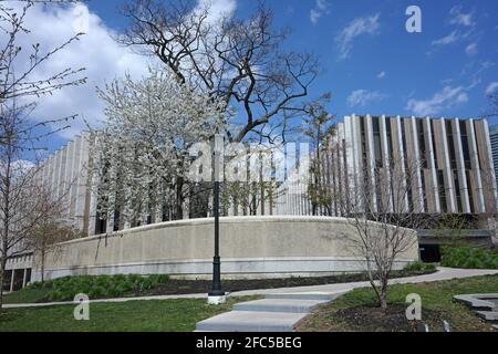 Toronto, Canada - le 23 avril 2021 : l'édifice de l'École de droit de l'Université de Toronto, avec un arbre aux fleurs printanières. Banque D'Images