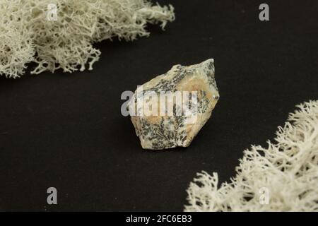 Oxydes de manganèse de dendrite du Maroc. Pierre minérale naturelle sur fond noir entouré de mousse. Minéralogie, géologie, magie, semi-précieux Banque D'Images