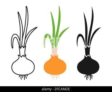 Ensemble de dessins animés de betteraves à oignons bulbes, icône de ligne, style glyphe noir. Oignon bio. Collection rurale de légumes sains. Illustration vectorielle de concepts d'agriculture de jardin dessinés à la main Illustration de Vecteur