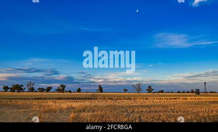 Moon sur Wheat Stubble Paddock Banque D'Images