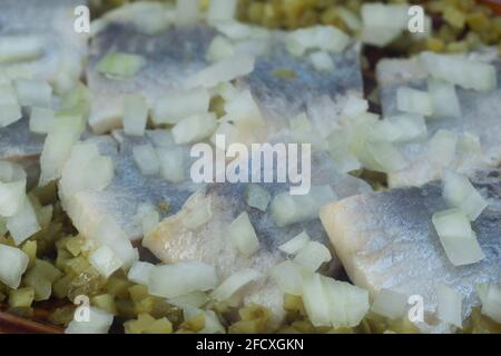 hareng avec oignon et concombre mariné sur plaque de fermeture sélective mise au point Banque D'Images