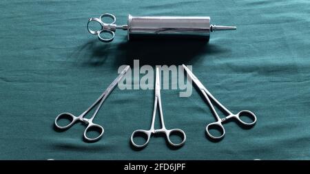 Seringue en acier inoxydable et ciseaux Hemostatic Forceps droits sur un plan d'examen vêtu de vert. La seringue auriculaire est utilisée pour les débris de cire d'oreille rem Banque D'Images
