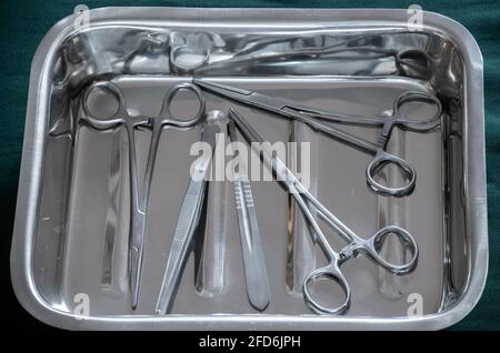 Pinces de forceps hémostatiques et pinces à pansements dans un plateau pour conteneur en acier inoxydable Banque D'Images