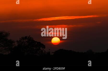Coucher de soleil panoramique sur la ligne des arbres dans la soirée du village de Pusiyankulama. Banque D'Images