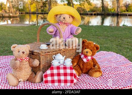 Pique-nique de Teddy Bear dans un cadre au bord du lac. Trois ours en peluche qui ont le thé sur une toile de table Vichy rouge et blanche avec un baske de pique-nique traditionnel en osier Banque D'Images