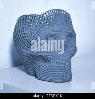Crâne imprimé en plastique gris bleu sur une imprimante 3d. Banque D'Images