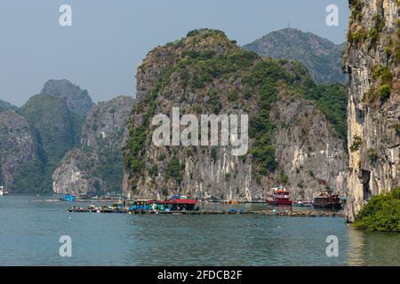 Village flottant et Fisher de la baie de Halong au Vietnam Banque D'Images