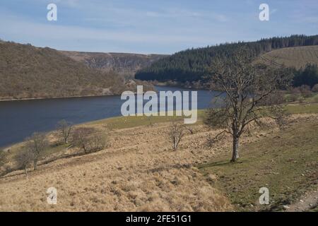 Sentier de la vallée d'Elan avec réservoirs de l'époque victorienne et panneaux bilingues En gallois/anglais à Powys, pays de Galles, Royaume-Uni Banque D'Images