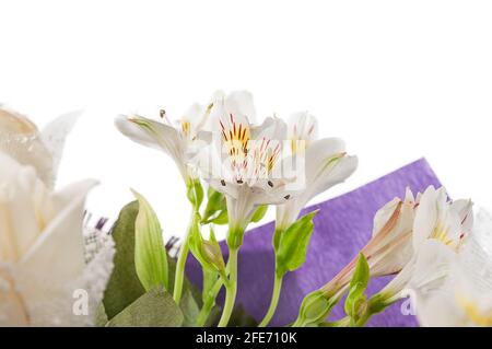 Bouquet de fleurs dans un emballage violet gros plan. Alstroemeria blanche froncée dans un bouquet. Banque D'Images