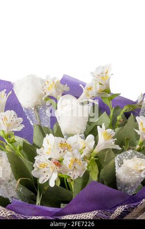 Bouquet de fleurs dans un emballage violet gros plan. Roses blanches et alstroemeria blanche dans un luxueux bouquet. Banque D'Images