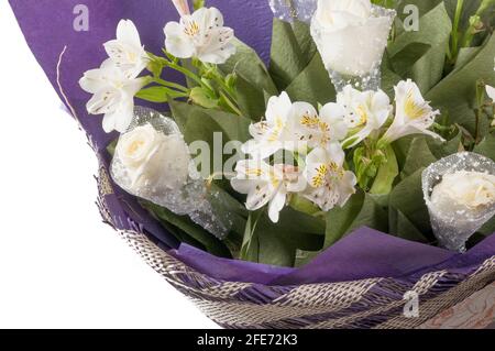 Bouquet de fleurs dans un emballage violet gros plan. Roses blanches et alstroemeria blanche dans un luxueux bouquet. Banque D'Images