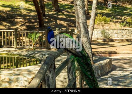 Parc de la Reine Sofía à Guardamar, espagne, europe Banque D'Images