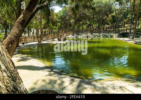 Parc de la Reine Sofía à Guardamar, espagne, europe Banque D'Images