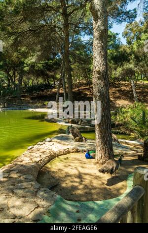 Parc de la Reine Sofía à Guardamar, espagne, europe Banque D'Images