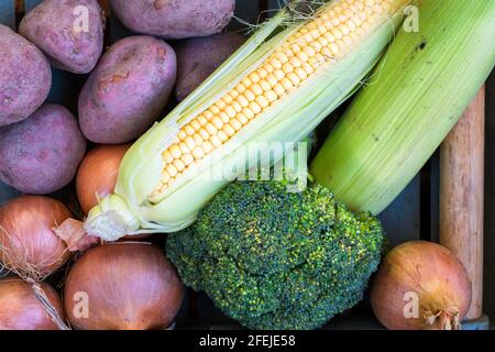 Mélanger les légumes biologiques dans une boîte avec les pommes de terre, les oignons, le maïs sucré et le brocoli Banque D'Images