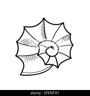 Sea Shell Line Art facile à modifier et à coloriser Illustration de Vecteur