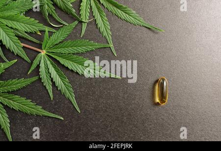 Feuilles de cannabis médicinales avec de l'huile de cbd. Huile de marijuana dans des capsules médicales isolées sur fond noir. Banque D'Images