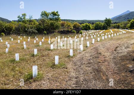 Protecteurs tubulaires en plastique blanc translucide autour des vignes nouvellement plantées à Santiago del Teide, Tenerife, Iles Canaries, Espagne Banque D'Images