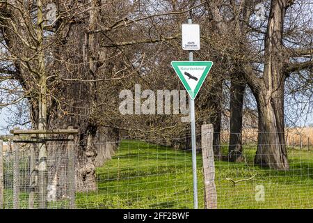 L'avenue des châtaignes douces (Castanea sativa P. MILL) de Schloss Dyck près de Grevenbroich en Rhénanie-du-Nord-Westphalie est, avec plus de 214 arbres plantés entre 1794 et 1811, la plus grande et probablement aussi la plus ancienne avenue des châtaignes douces encore existant dans toute l'Allemagne. L'entrée dans le monument naturel est dangereuse et interdite Banque D'Images