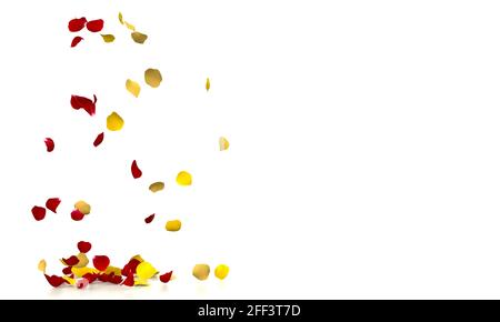 Les pétales de rose jaune et rouge tombent magnifiquement sur le sol blanc réfléchissant. Concept festif et floral Banque D'Images