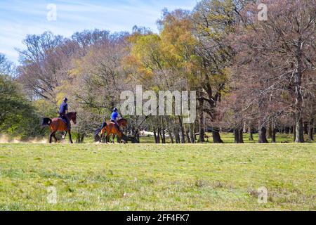 Les personnes qui font du cheval près de la longue promenade dans le grand parc de Windsor, Windsor, Royaume-Uni Banque D'Images