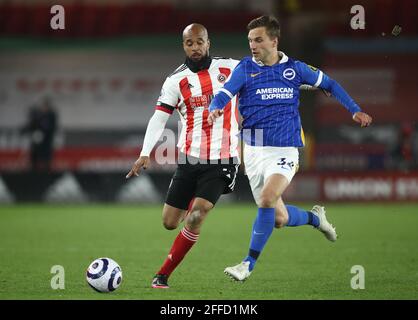 David McGoldrick de Sheffield United (à gauche) et Joel Veltman de Brighton et Hove Albion se battent pour le ballon lors du match de la Premier League à Bramal Lane, Sheffield. Date de la photo: Samedi 24 avril 2021. Banque D'Images