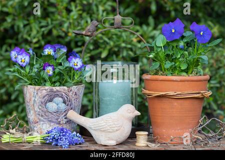 décoration printanière avec fleurs de alto bleues et oiseau en terre cuite Banque D'Images