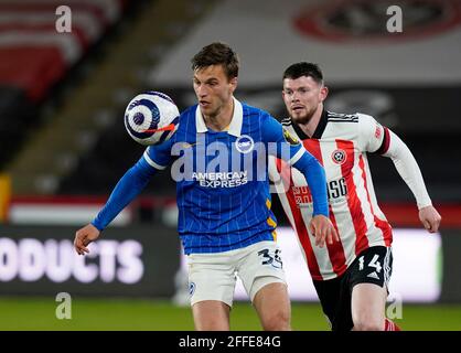 Sheffield, Royaume-Uni. 24 avril 2021. Joel Veltman de Brighton lors du match de la Premier League à Bramall Lane, Sheffield. Le crédit photo devrait se lire: Andrew Yates/Sportimage crédit: Sportimage/Alay Live News Banque D'Images